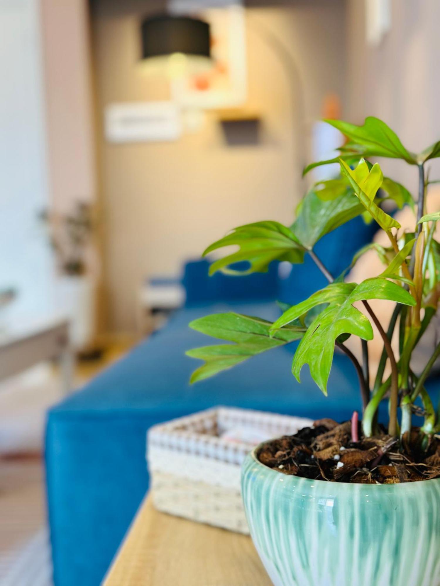 Doha Homes - Garden, Trung Tam Quan 1,2 Phong Ngu, 2 Bathroom * TP. Hồ Chí Minh
