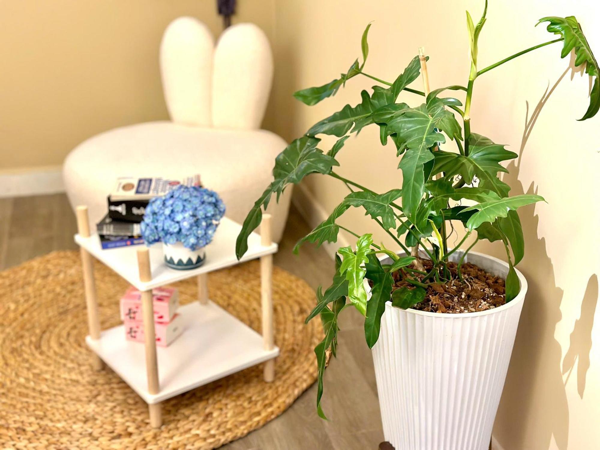 Doha Homes - Garden, Trung Tam Quan 1,2 Phong Ngu, 2 Bathroom Apartment Ho Chi Minh City